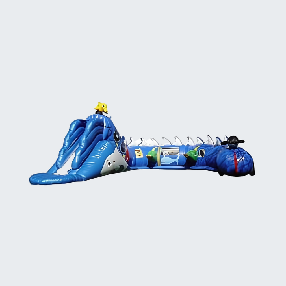 Under-the-Sea Themed Inflatable Rental in Rochester, NY – Blue Apple ...